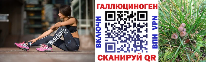 как найти   Соликамск  Галлюциногенные грибы MAGIC MUSHROOMS 